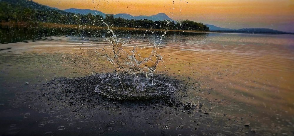 Photograph by SUBHAM DANGUA