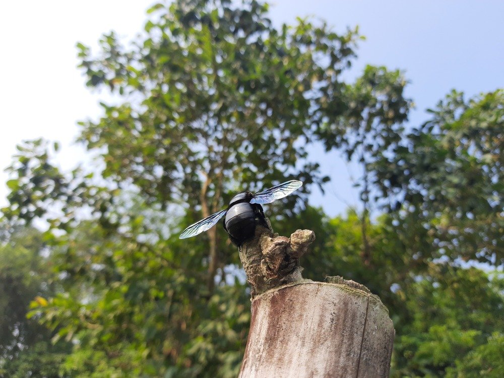 Photograph by SUBHAM DANGUA