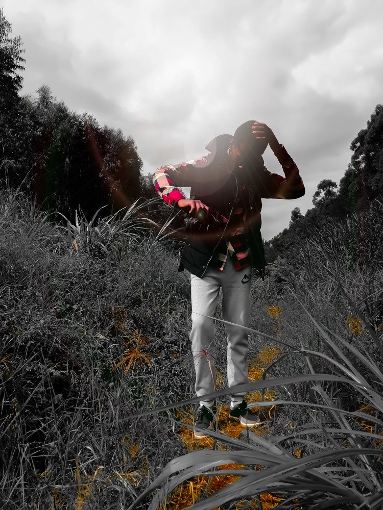 Photograph by David Kamau