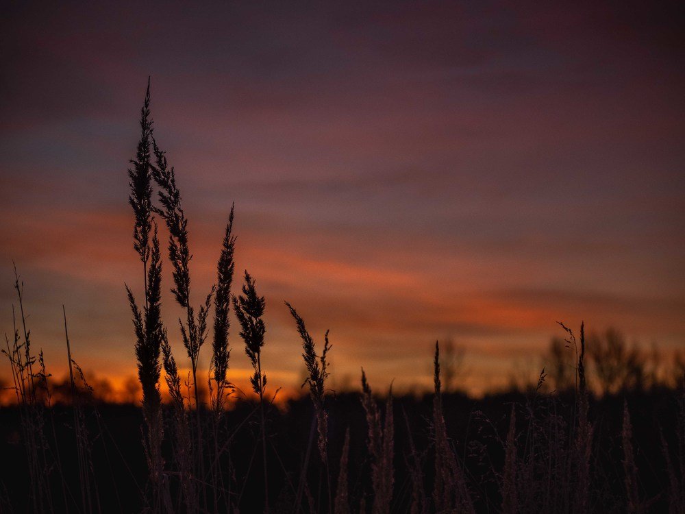 Photograph by mikhail goryachev