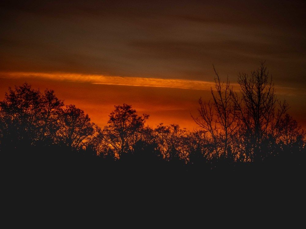 Photograph by mikhail goryachev