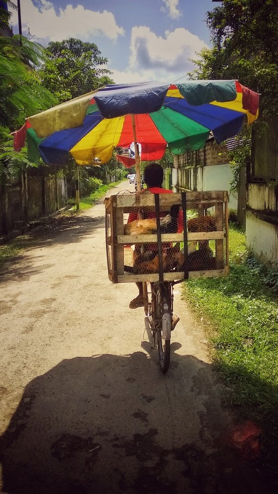 Photograph by Monuj Kr Dutta