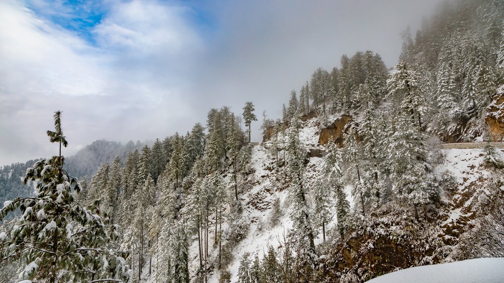 Photograph by Farrukh Siddiqi