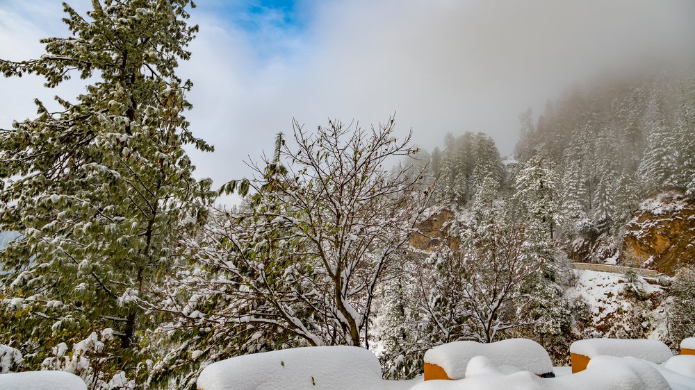 Photograph by Farrukh Siddiqi