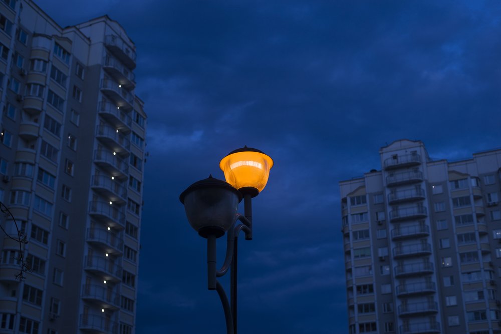 Photograph by Анна Синицина