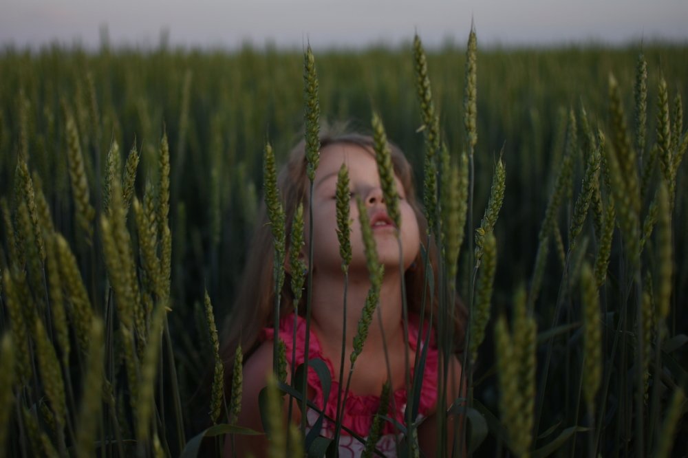 Photograph by Надежда Таршина