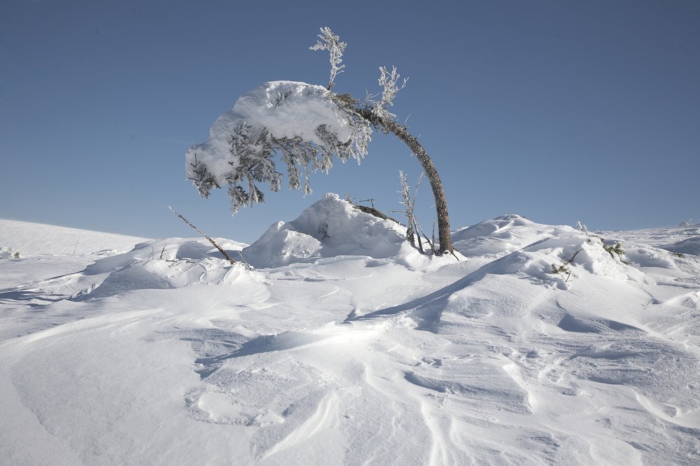 Photograph by Анастасия Тупицына