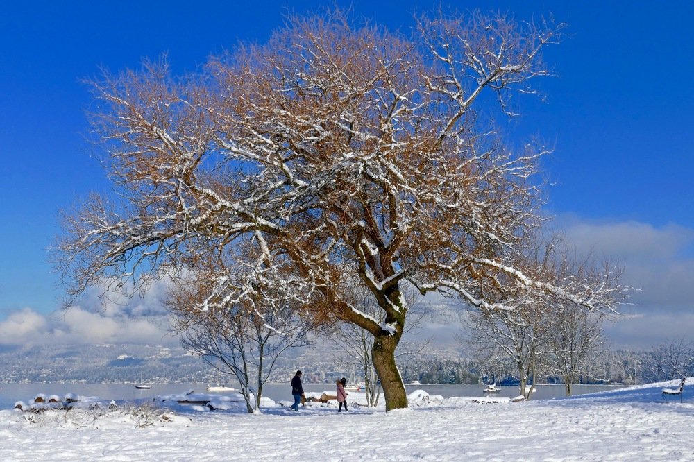 Photograph by Dietrich Klaue