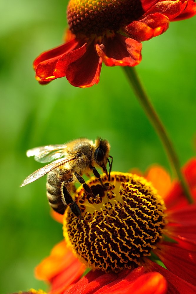 Photograph by Андрей Михайлов