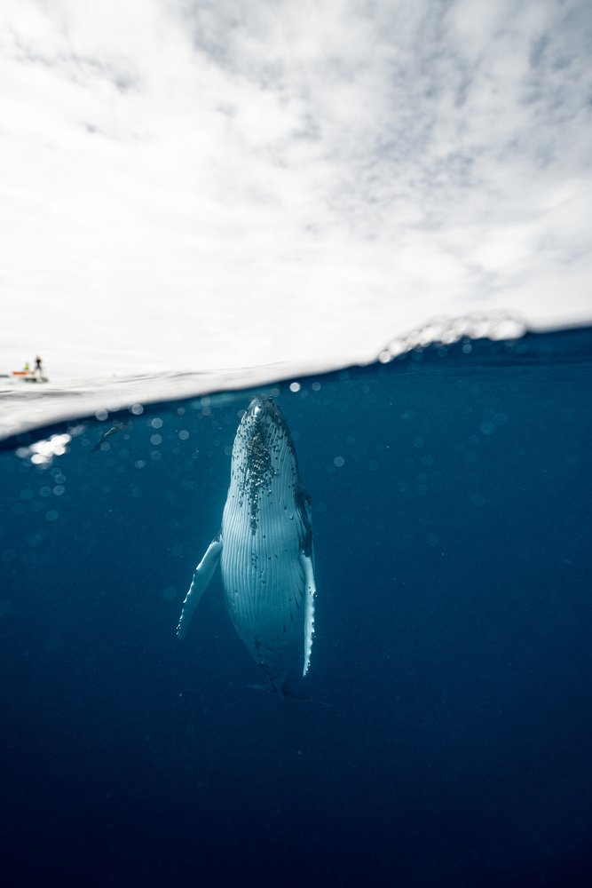 Photograph by Elianne dipp