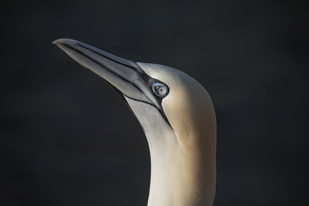 Photograph by Ernestas Balcikonis