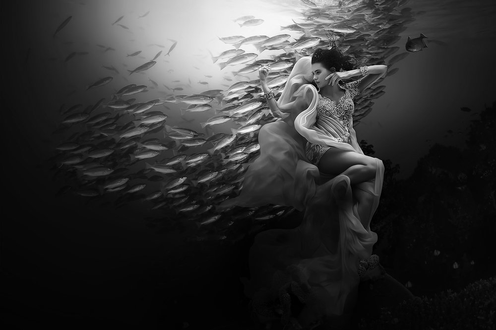 Photograph by Misbahol Munir