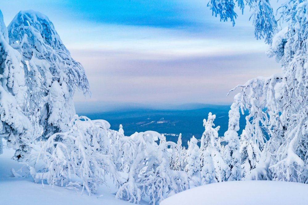 Photograph by Сергей Зубенин