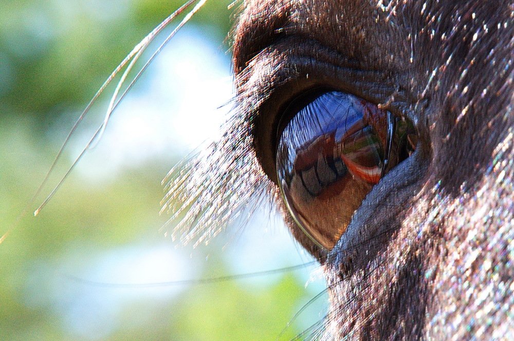 Photograph by Дмитрий Волков