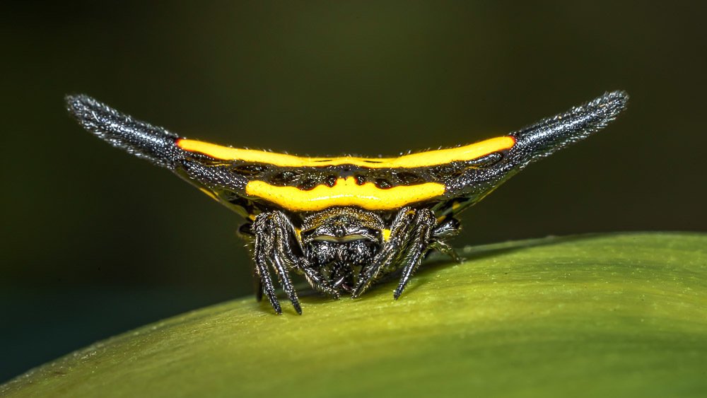 Photograph by Андрей Савин