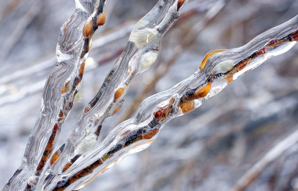 Photograph by Виктор Игнатенко.