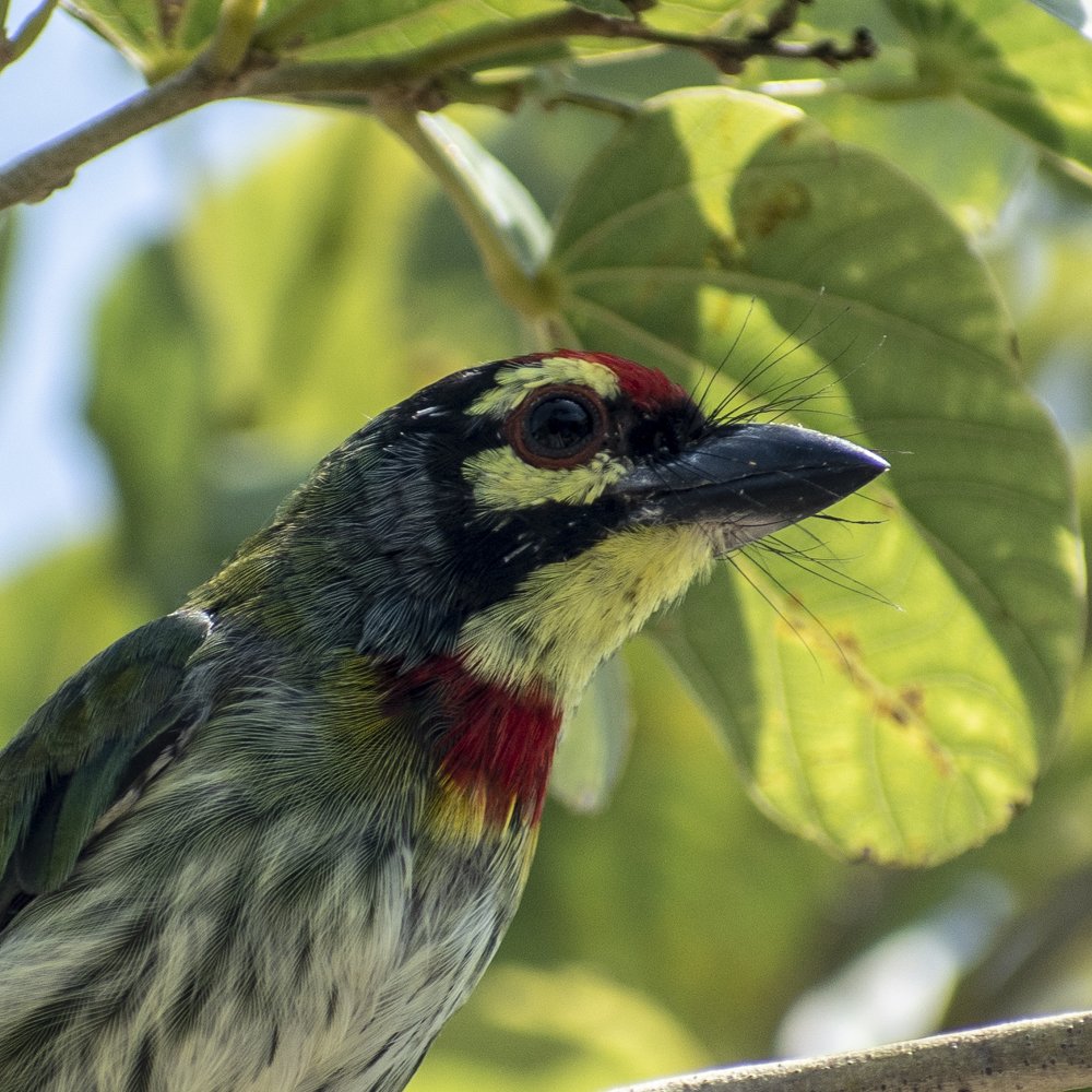 Photograph by Preet saluja