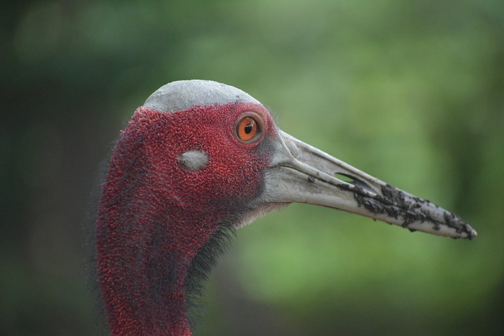 Photograph by Preet saluja