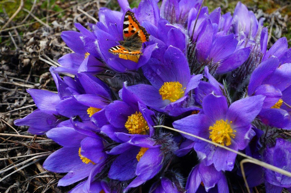 Photograph by Михаил