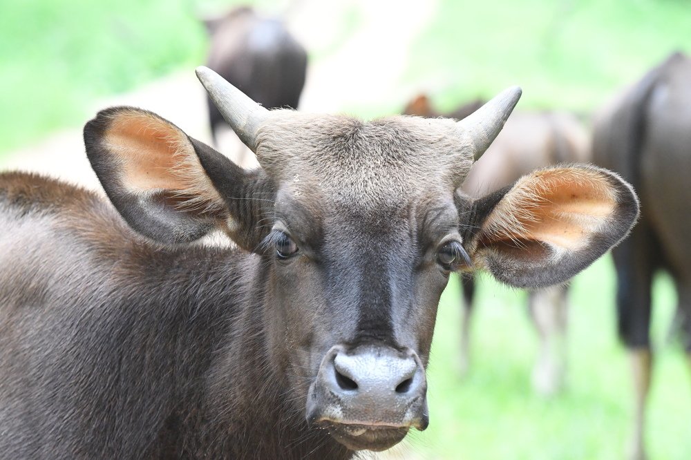 Photograph by Preet saluja