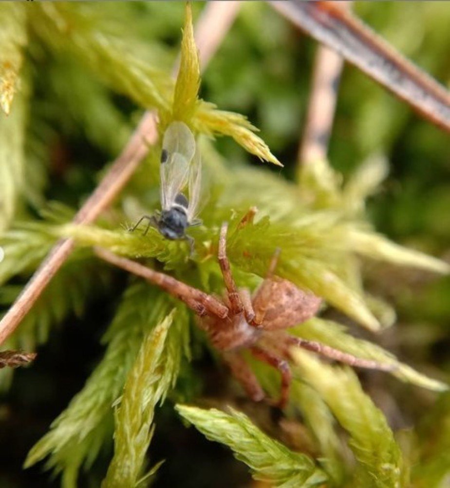 Photograph by Снежана Шепель