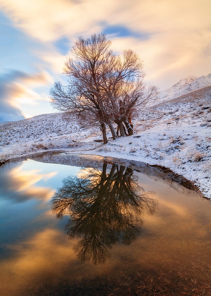 Photograph by sajjad saadat