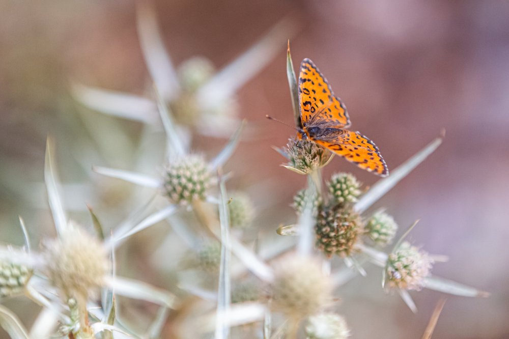 Photograph by Maxim Katz