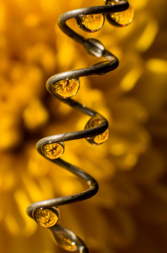 Photograph by Nidhi Raman