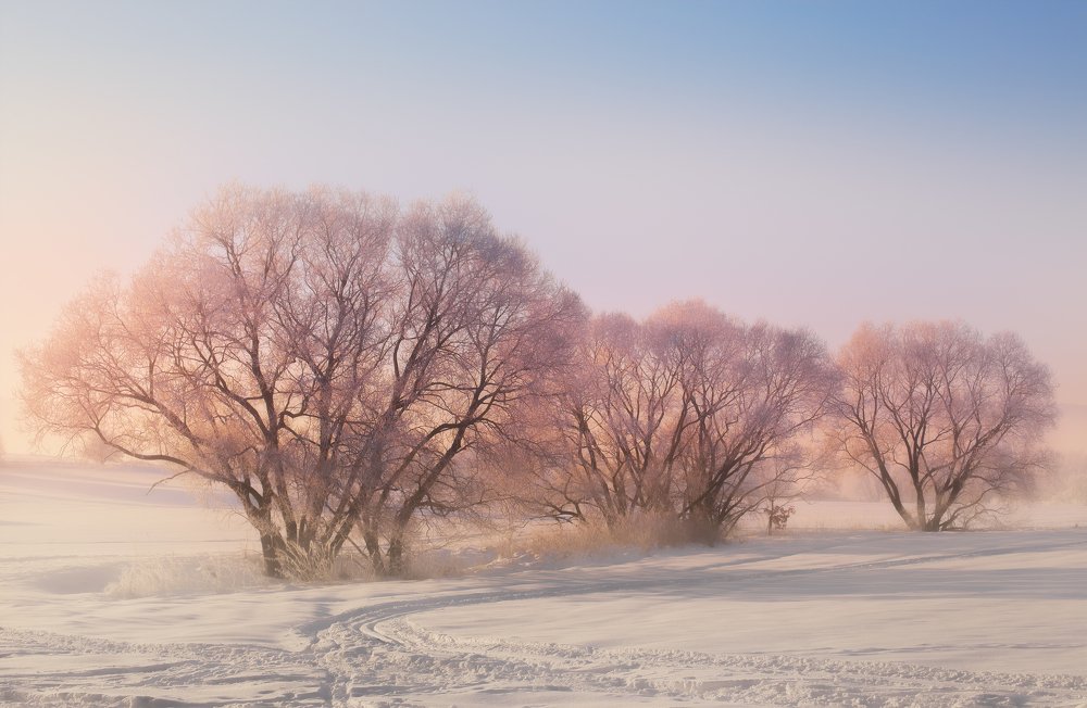 Photograph by Piotr Zagzil