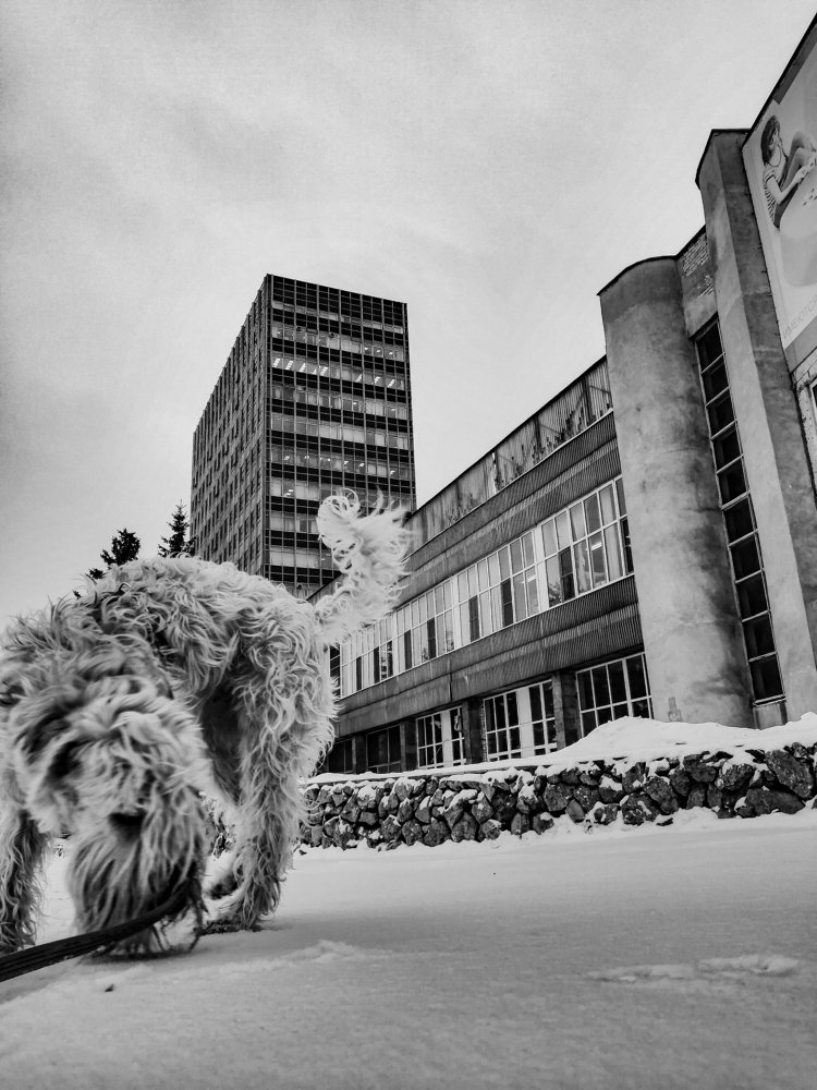 Photograph by Марина