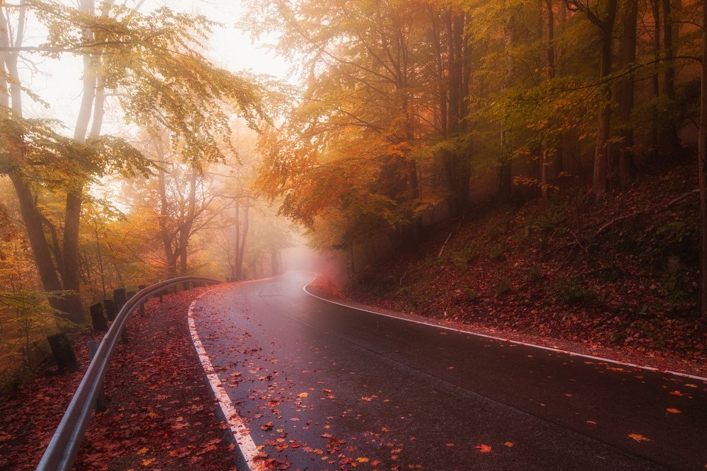 Photograph by Piotr Zagzil