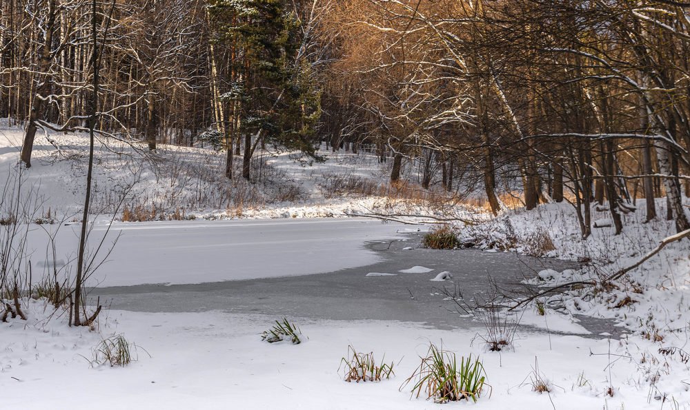 Зимний пруд
