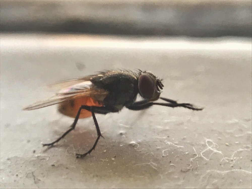 Photograph by Sepehr Falahati