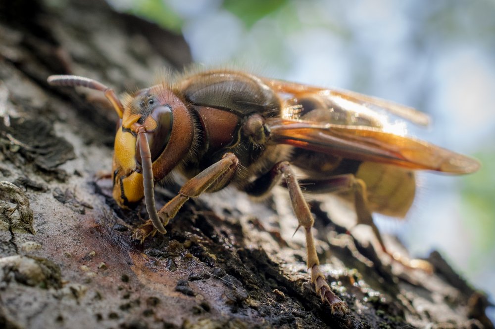 Photograph by Сергей Быченков