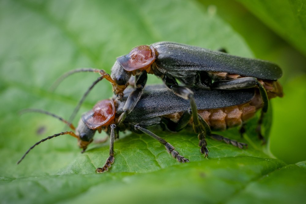 Photograph by Сергей Быченков