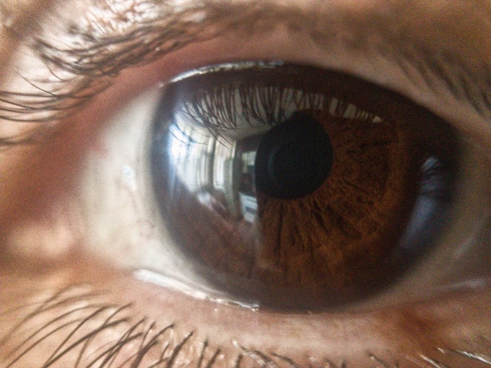 Photograph by Sepehr Falahati