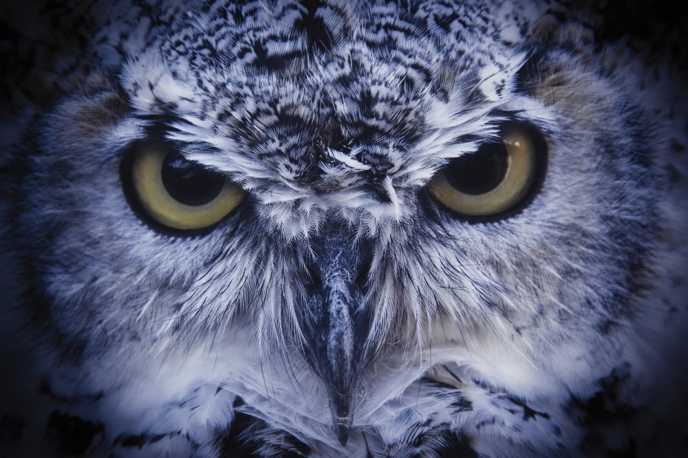 Photograph by Ernestas Balcikonis