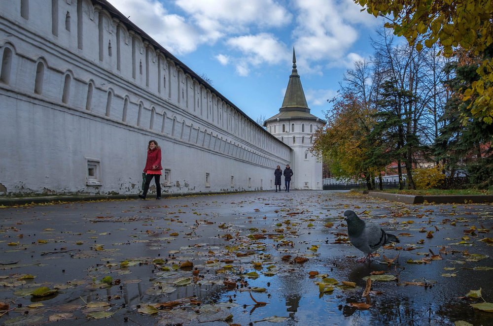 Вдоль Данилова монастыря