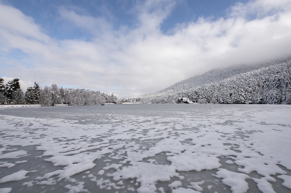 Фотография автора Murat BERKYUREK