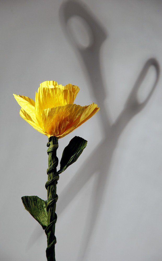 Photograph by Юрий Яковлев