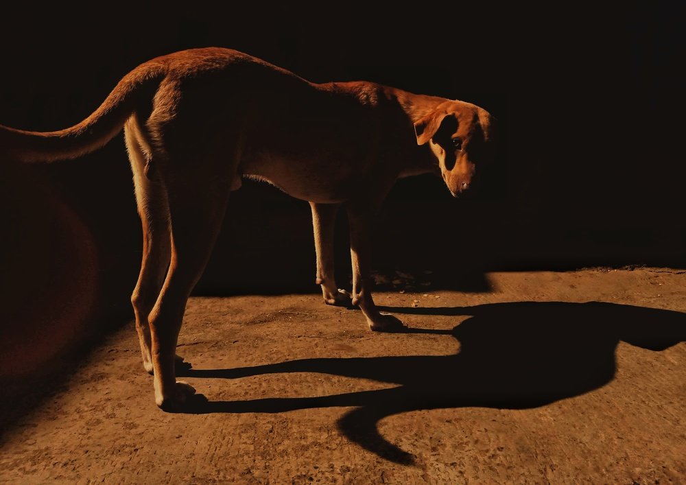 Photograph by Ritu Maheshwari