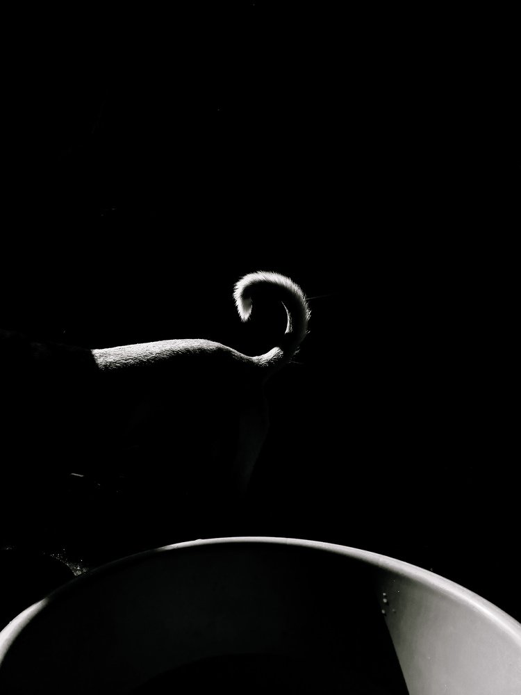 Photograph by Ritu Maheshwari