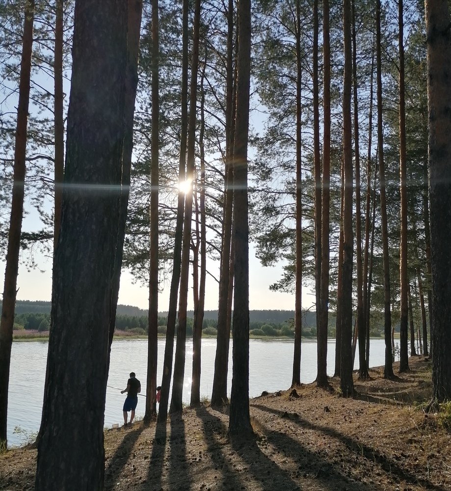 Photograph by Мария Гиниатуллина