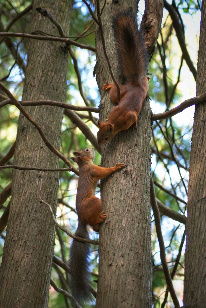 Photograph by Алексей Турсунов