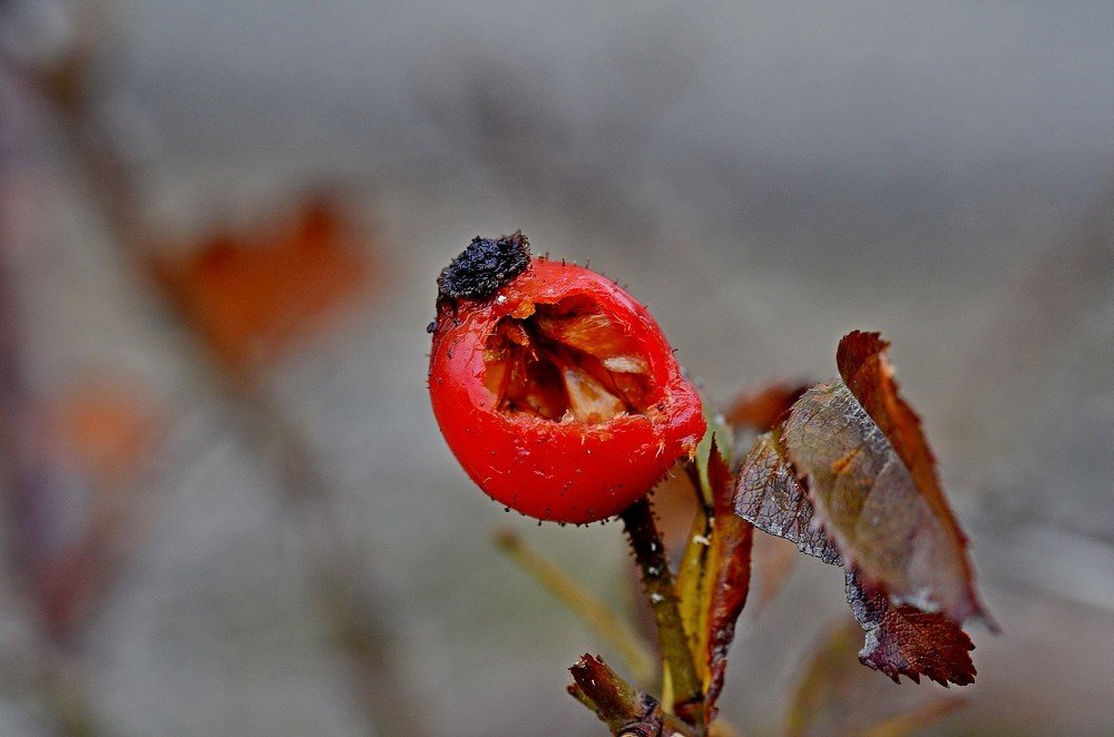 Photograph by Александр