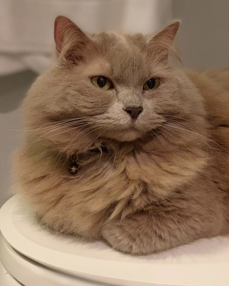 Photograph by Karin Celosse