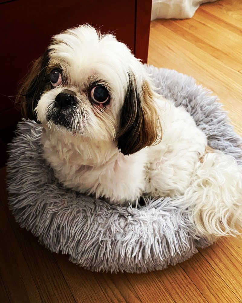 Photograph by Karin Celosse