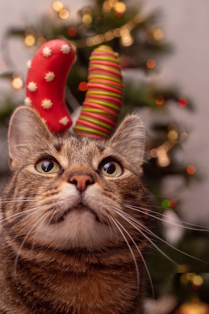 Photograph by Анастасия Бурдейная