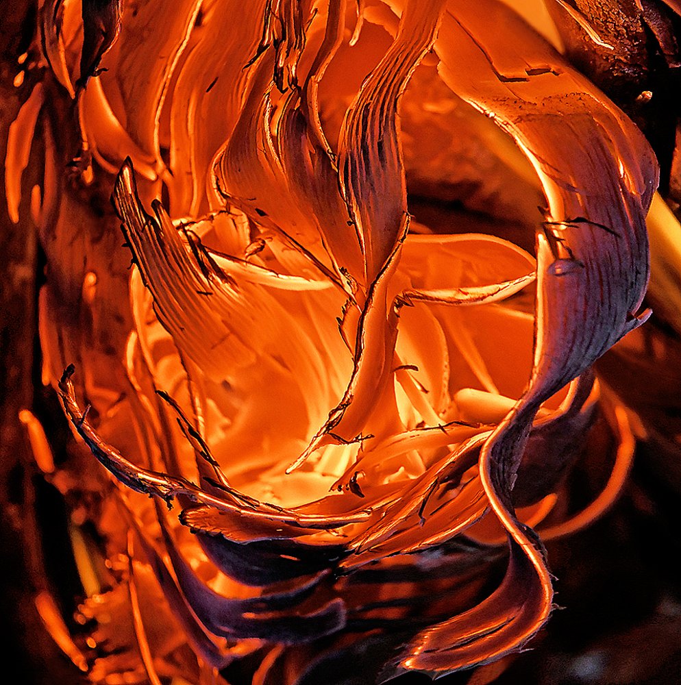 Из серии ТАЙНЫ ОГНЯ фото 16