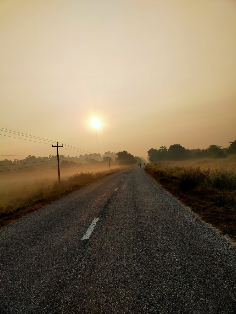 Photo #5406231